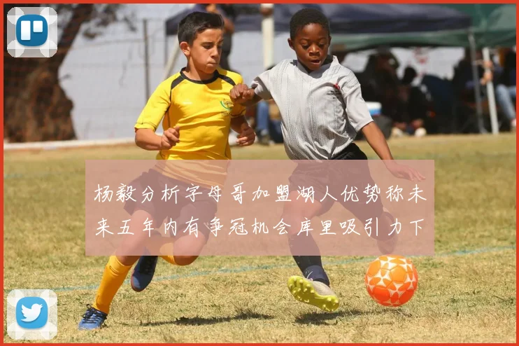 杨毅分析字母哥加盟湖人优势称未来五年内有争冠机会库里吸引力下降