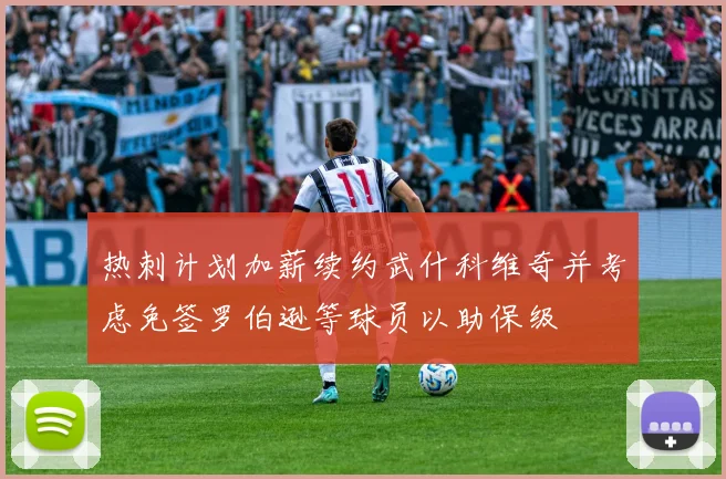 热刺计划加薪续约武什科维奇并考虑免签罗伯逊等球员以助保级